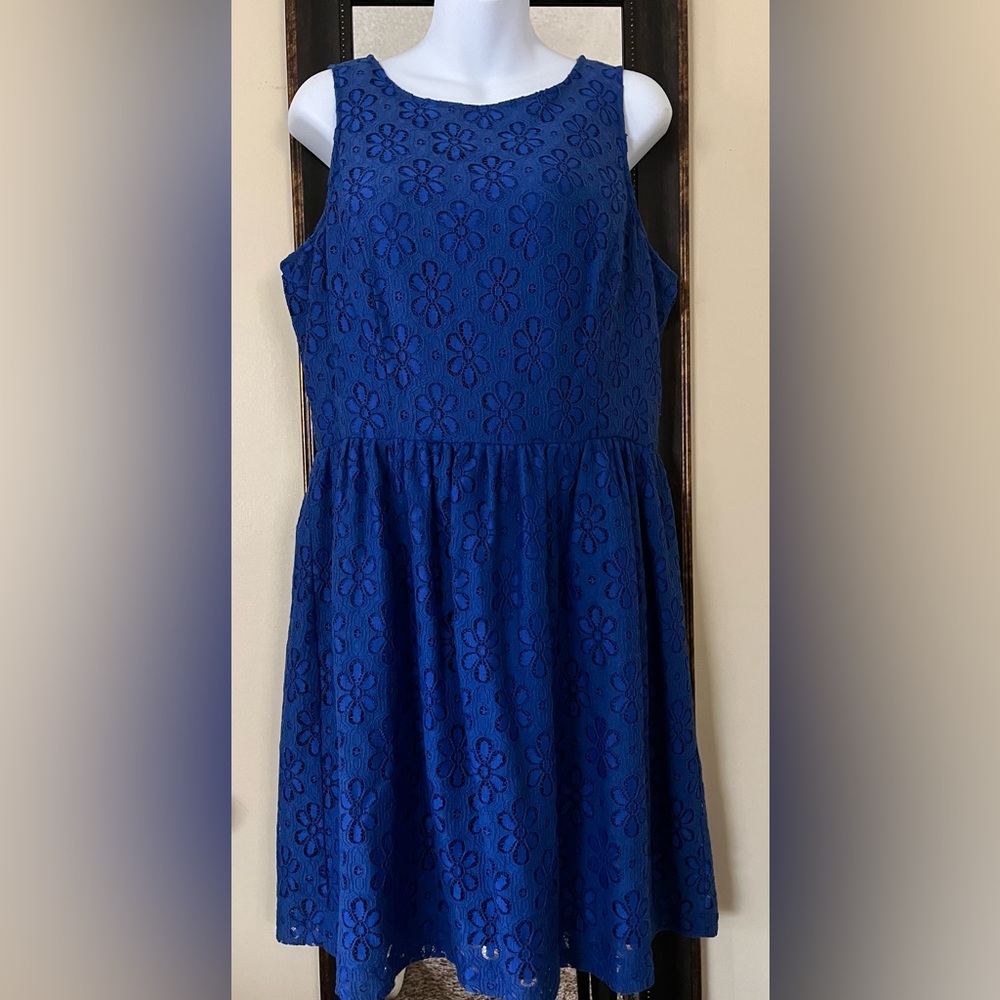 Kensie royal blue, Daisy pattern, back zipper dress new without tags
